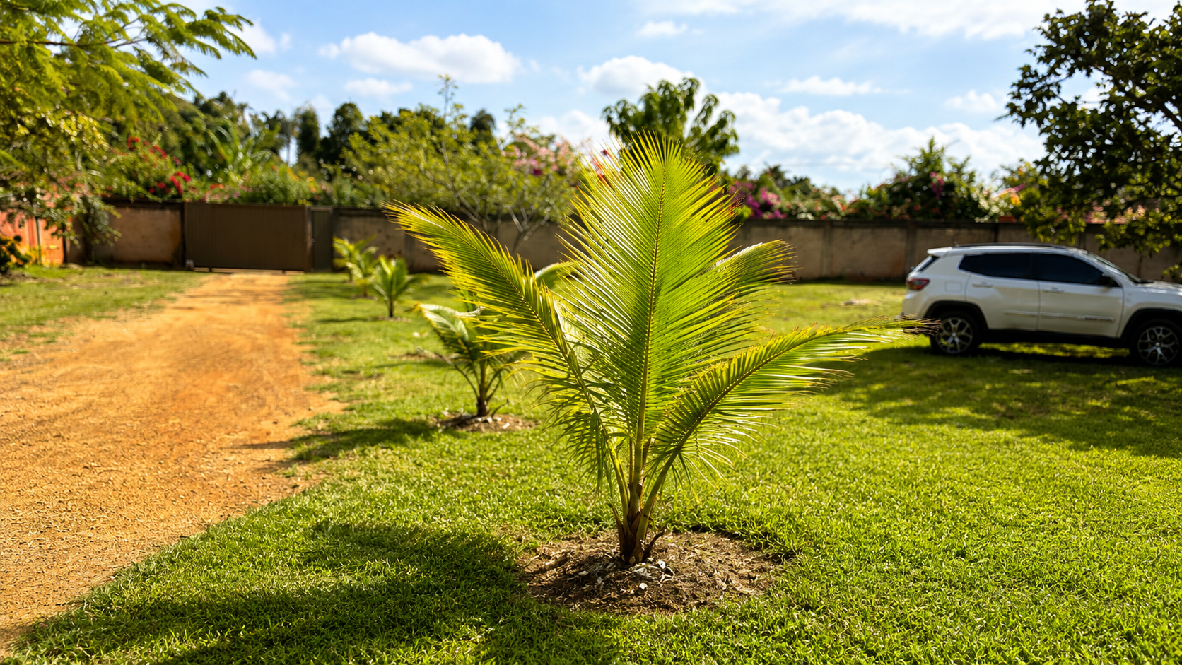 Área verde do Centro Geriátrico Carpe Diem